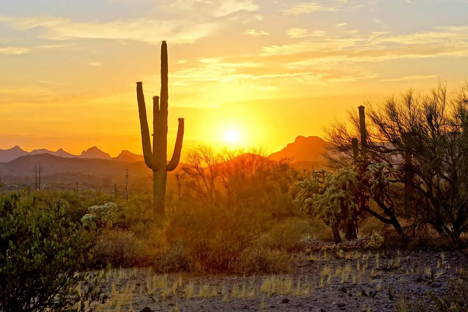 El Mirage Property Management