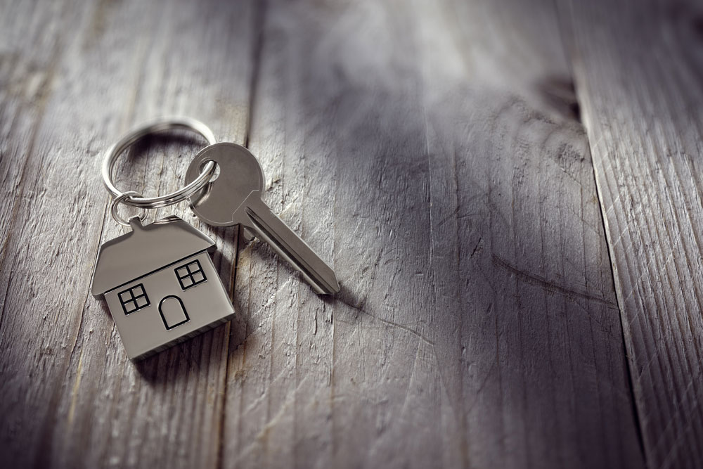 Surprise Property Owners